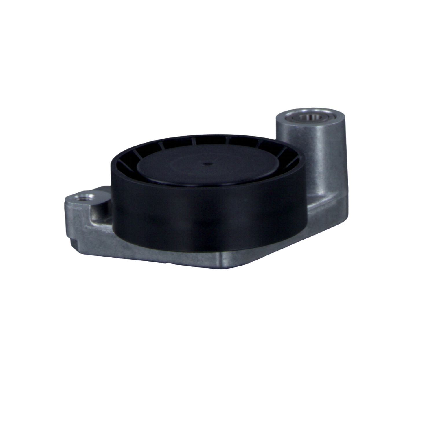 FEBI BILSTEIN 08690: Feszítőgörgő, hosszbordás szíj Ø: 75mm, Ø: 75mm, Tartóval