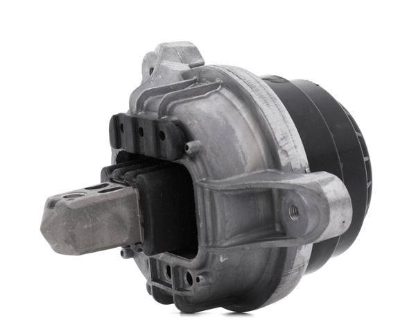 RIDEX 247E1045 Motorophæng BMW 5 Touring (F11) 190 HK Diesel hvad koster