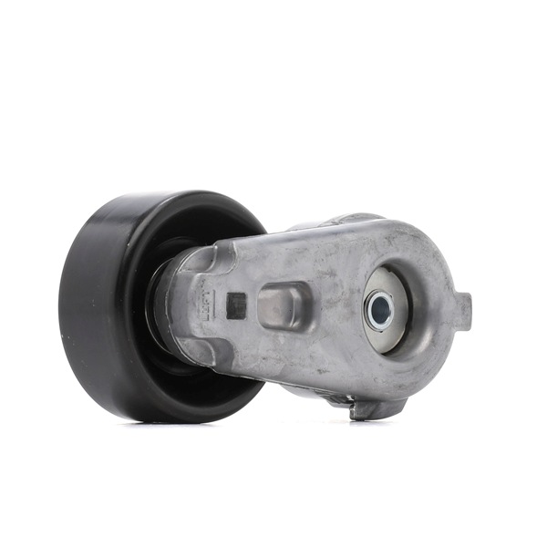 RIDEX 310T0661 Обтяжна ролка, пистов ремък LAND ROVER Range Rover Sport (L320) 190 K.C. дизел цена