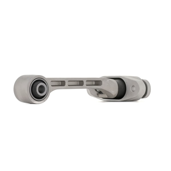 RIDEX 247E1054: Soporte de motor posterior