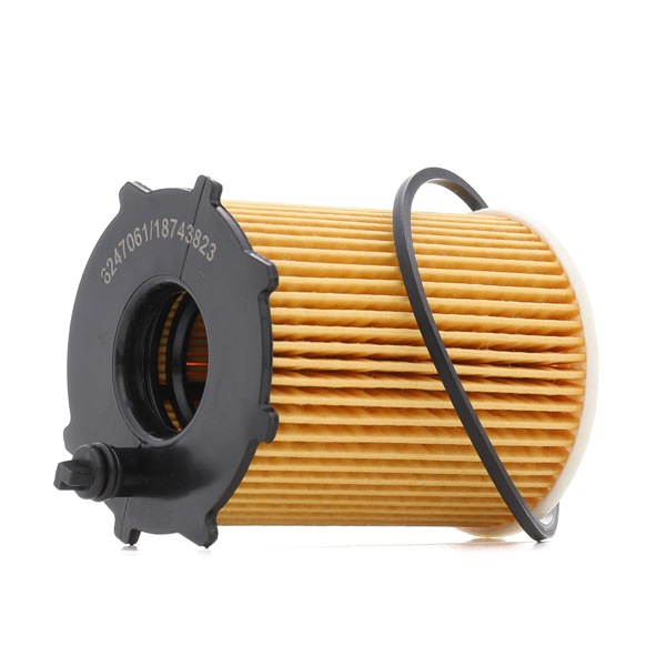 RIDEX PLUS 7O0013P: Filtro olio con guarnizione