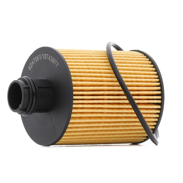 RIDEX PLUS 7O0058P: Oliefilter med pakning