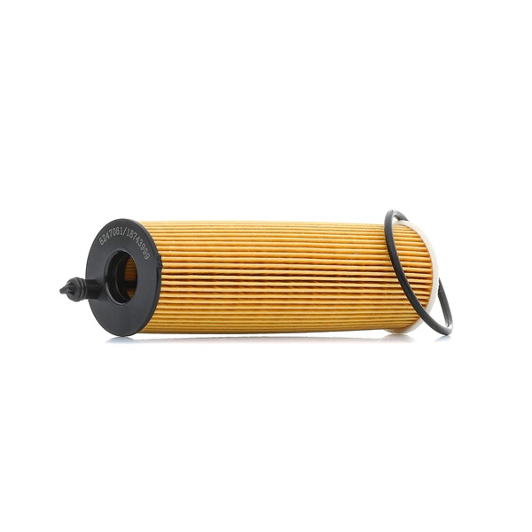 RIDEX PLUS 7O0243P: Oliefilter Met pakking