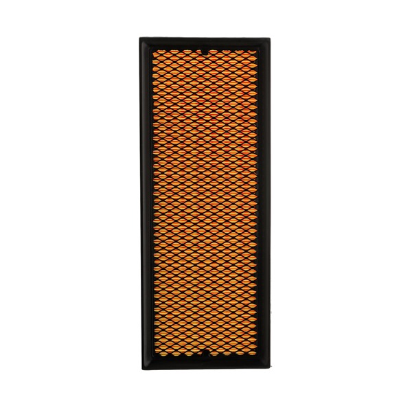 RIDEX PLUS 8A0004P: Filtro aria