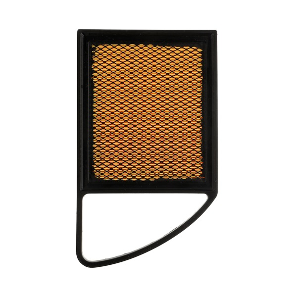 RIDEX PLUS 8A0172P Luftfilter