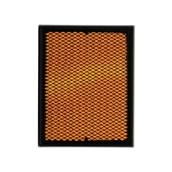 RIDEX PLUS 8A0007P: Filtro de aire