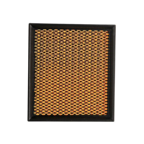 RIDEX PLUS 8A0282P: Luftfilter