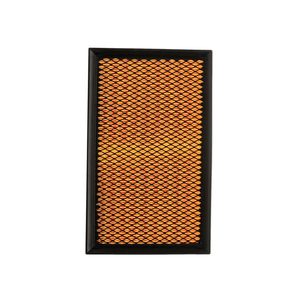 RIDEX PLUS 8A0277P: Gaisa filtrs