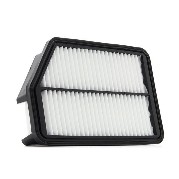 RIDEX PLUS 8A0184P: Gaisa filtrs