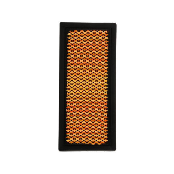 RIDEX PLUS 8A0040P: Gaisa filtrs