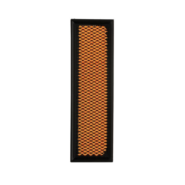 RIDEX PLUS 8A0247P Gaisa filtrs CITROЁN C3 I Hatchback (FC_, FN_) 110 ZS Benzīns cena