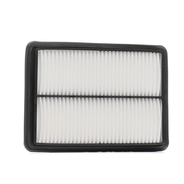 RIDEX PLUS 8A0461P: Gaisa filtrs