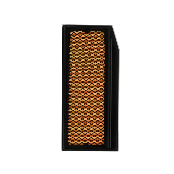 RIDEX PLUS 8A1622P: Gaisa filtrs