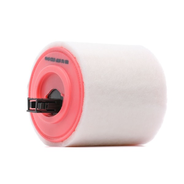 RIDEX PLUS 8A0709P: Vzduchový filter