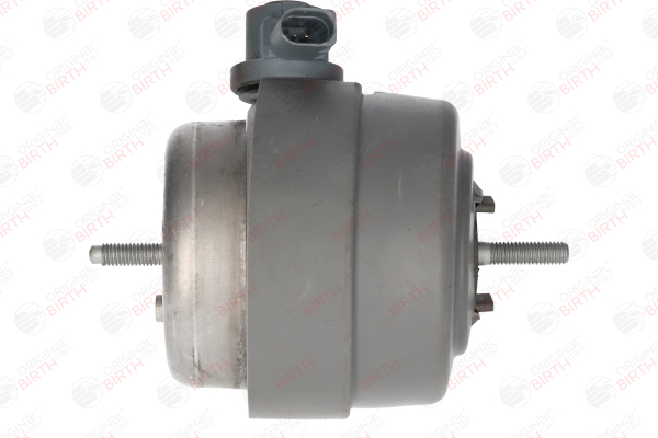 BIRTH 53544: Suporte, motor Eixo dianteiro