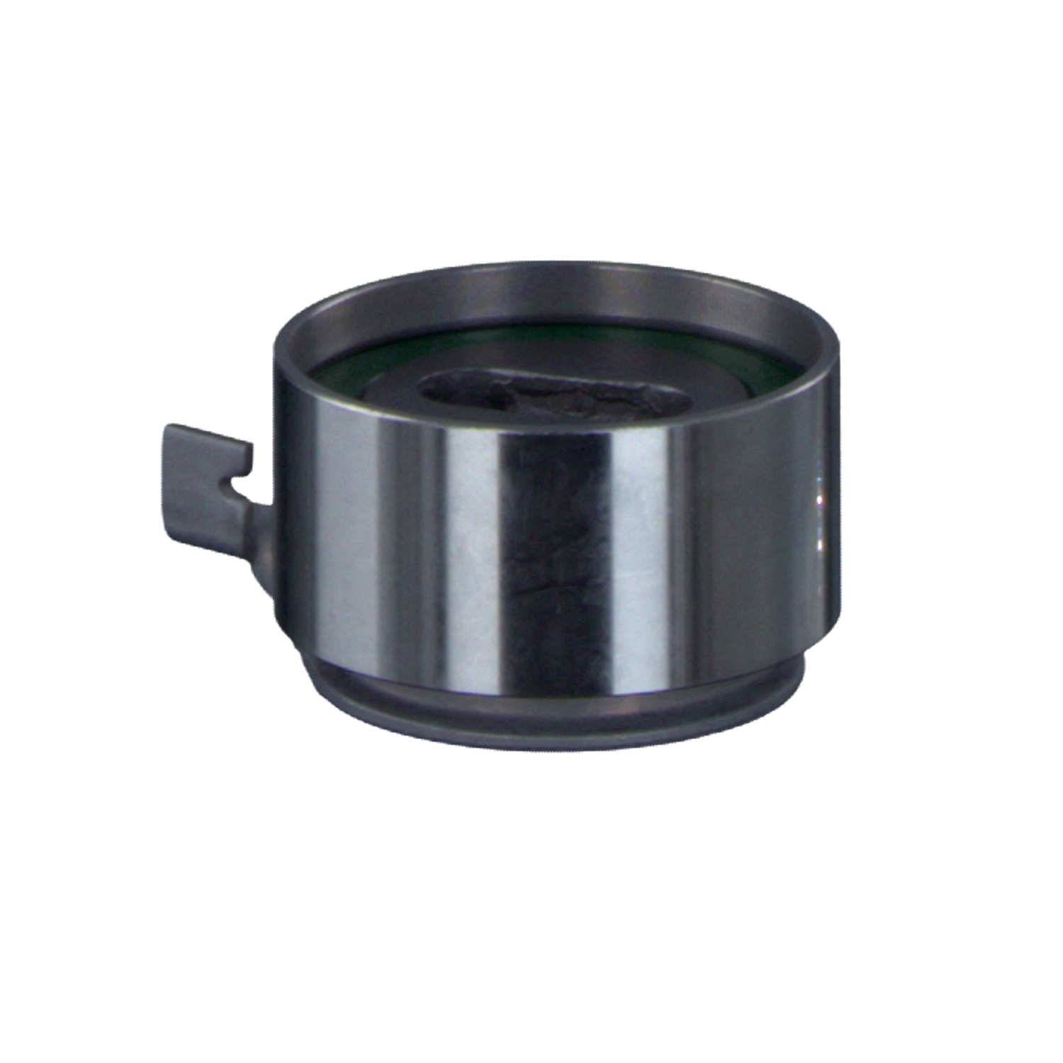 FEBI BILSTEIN 17492: Rola intinzator, curea distributie