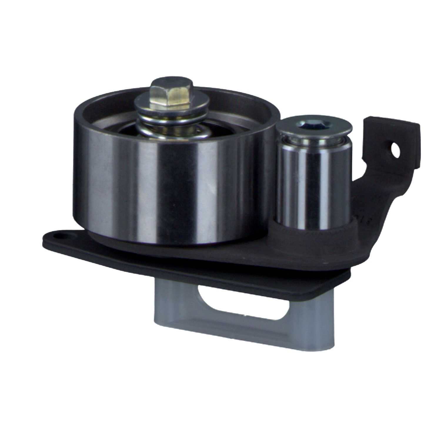 FEBI BILSTEIN 18573: Rola intinzator, curea distributie