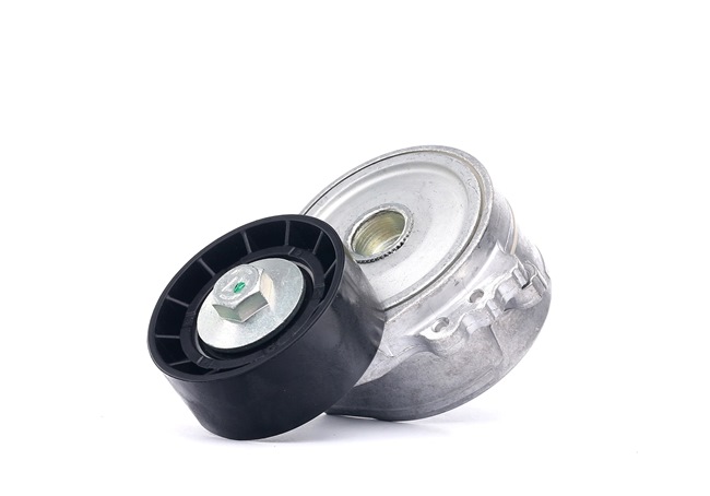 FEBI BILSTEIN 19482: Įtempiklio skriemulys, V formos rumbuotas diržas Ø: 60mm, Ø: 60mm