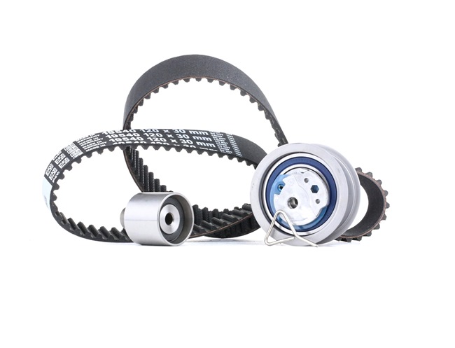 FEBI BILSTEIN 21724: Kit cinghia di distribuzione N° denti: 120