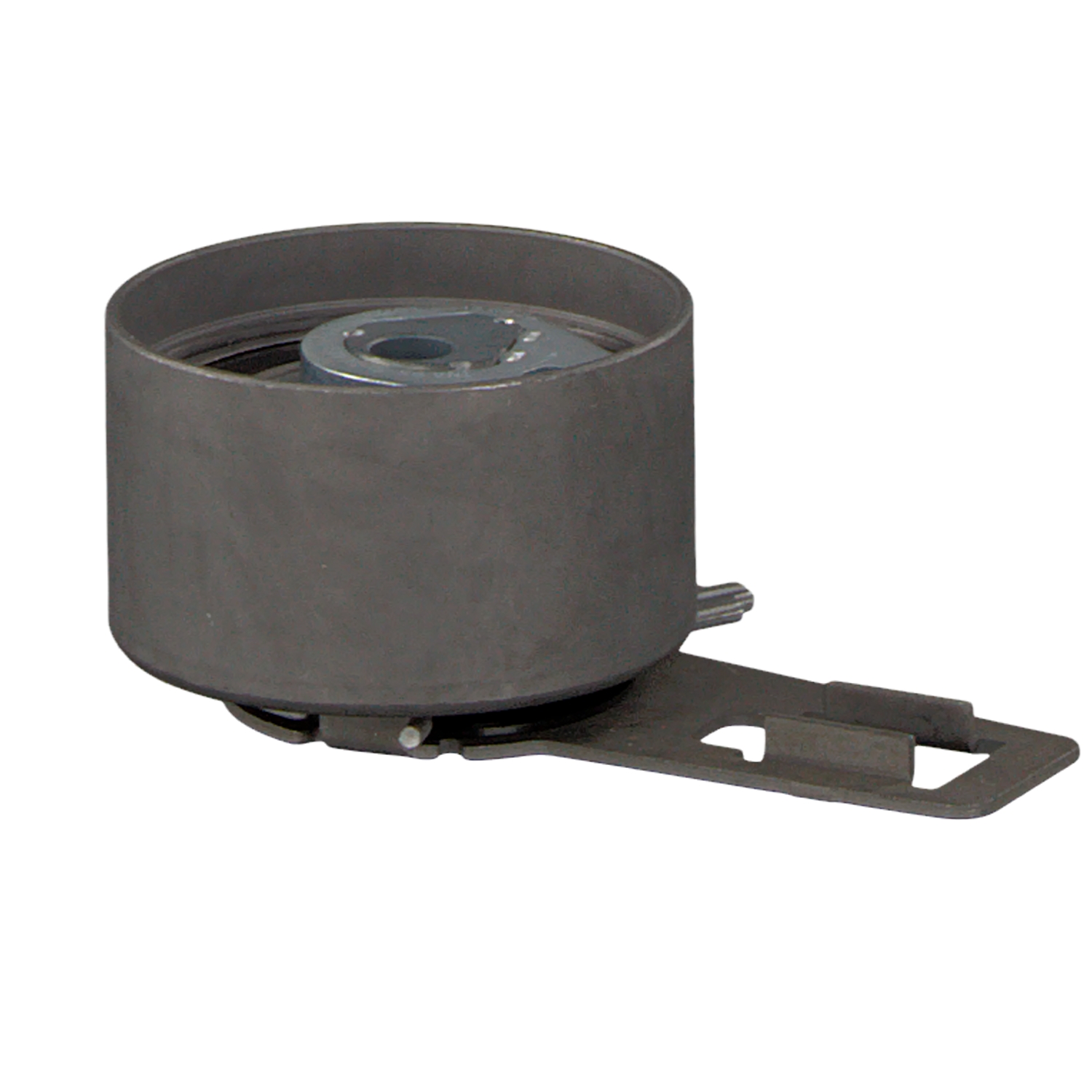 FEBI BILSTEIN 22843: Rola intinzator, curea distributie