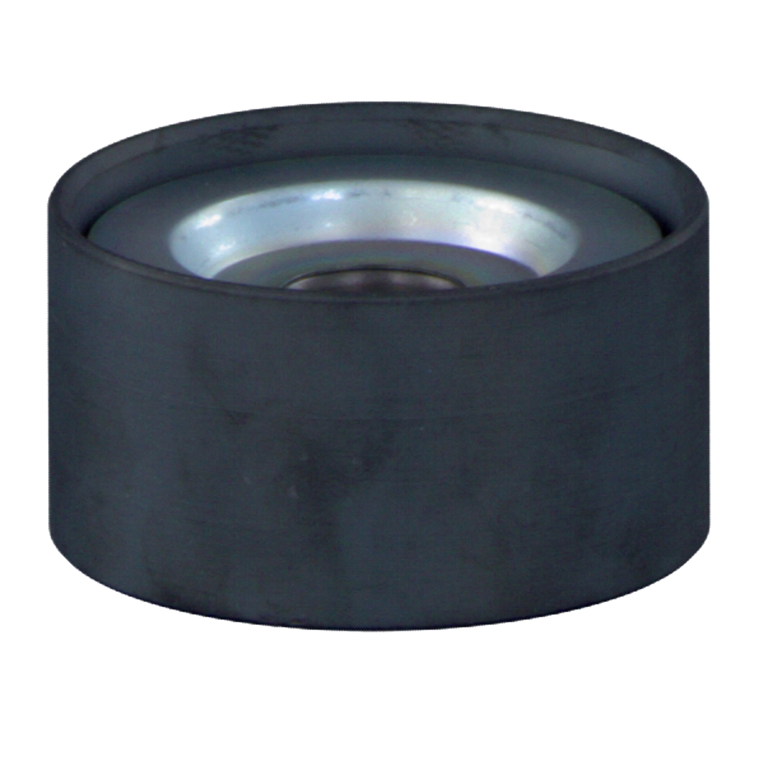 FEBI BILSTEIN 23261: Galoppino guidacinghia, cinghia Poly-V Ø: 74mm, Ø: 74mm