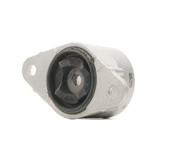 FEBI BILSTEIN 23690: Veerpootlager Achteras, Zonder kogellager, Zonder lager