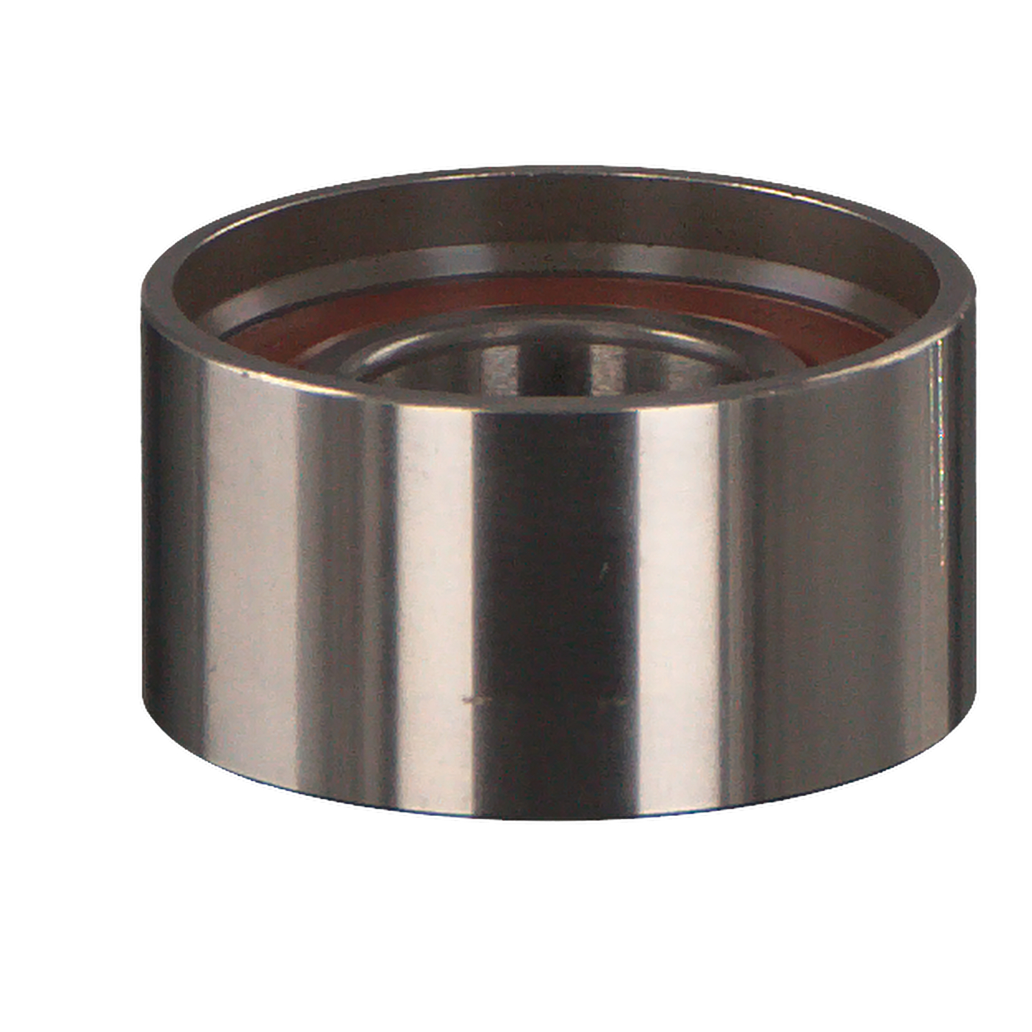 FEBI BILSTEIN 24836: Rola intinzator, curea distributie