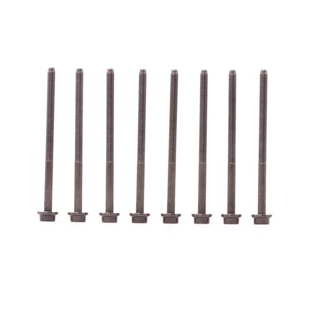 FEBI BILSTEIN 26434: Set surub, chiulasa 138mm