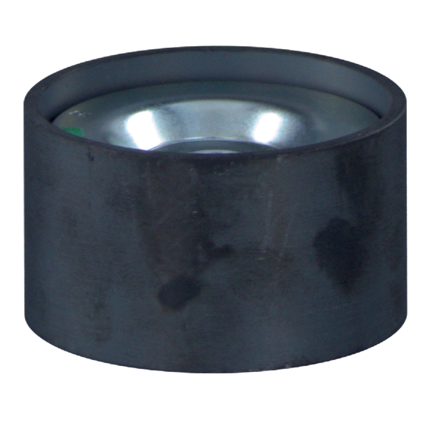 FEBI BILSTEIN 27169: Umlenk- / Führungsrolle, Keilrippenriemen Ø: 74mm, Ø: 74mm
