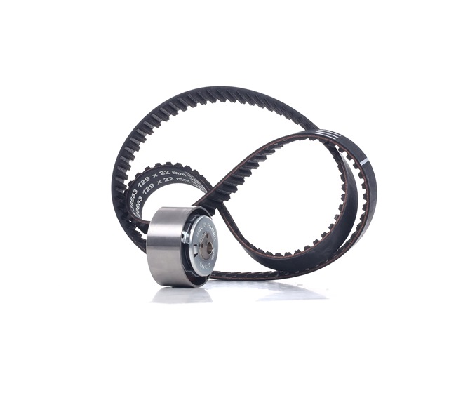 FEBI BILSTEIN 28664: Kit cinghia di distribuzione N° denti: 129