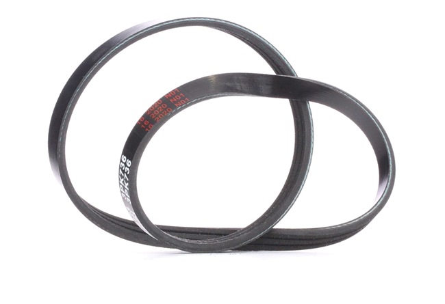 FEBI BILSTEIN 28745 Пистов ремък RENAULT CLIO 2 (BB0/1/2, CB0/1/2) 58 K.C. бензин цена