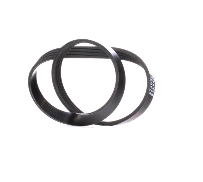 FEBI BILSTEIN 28767: Cinghia servizi 675mm, N° di nervature: 4