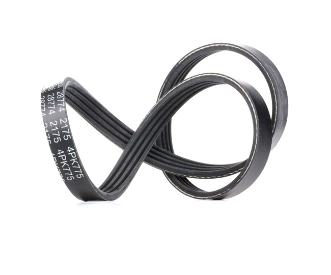 FEBI BILSTEIN 28774: Curea transmisie cu caneluri 775mm, Numar nervuri: 4