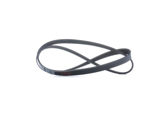 FEBI BILSTEIN 28856: Moniurahihna 1145mm, Kiiloja: 5