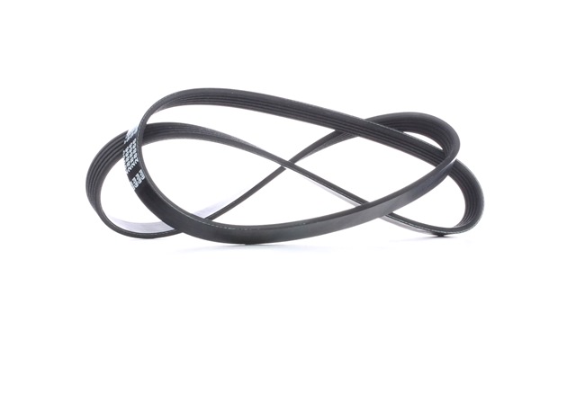FEBI BILSTEIN 28866: Multireim 1230mm, Ribbeantall: 5