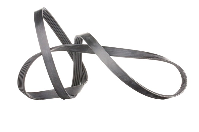 FEBI BILSTEIN 28881: Courroie Poly-V 1545mm, Nombre de gorges: 5
