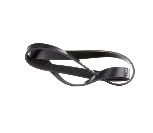 FEBI BILSTEIN 28917: Multiriem 1055mm, Ribbenaantal: 6