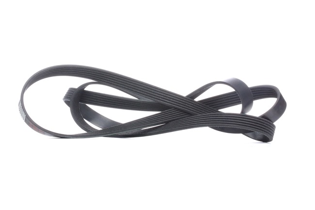 FEBI BILSTEIN 29022 Ιμάντας poly-V MERCEDES-BENZ C-class Sedan (W203) 231 PS Βενζίνη κόστος