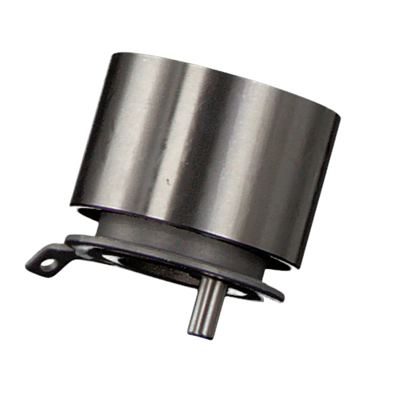 FEBI BILSTEIN 29311: Rullo tenditore, cinghia dentata