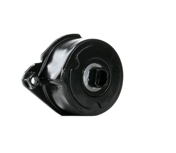 FEBI BILSTEIN 30117: Intinzator curea, curea distributie