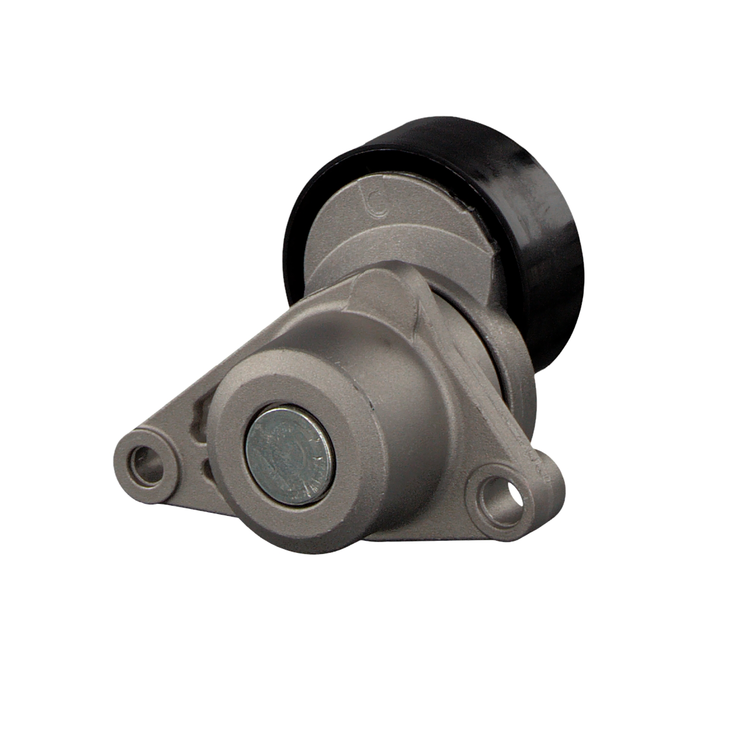 FEBI BILSTEIN 31076: Intinzator curea, curea distributie