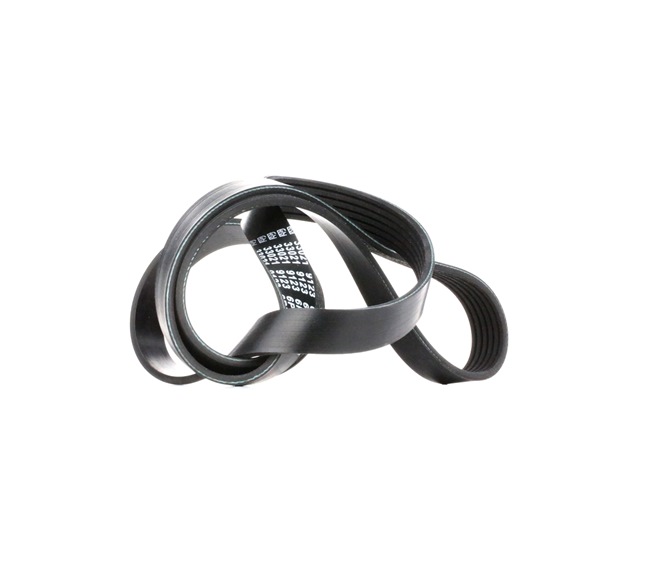 FEBI BILSTEIN 33021: Multiriem 1453mm, Ribbenaantal: 6