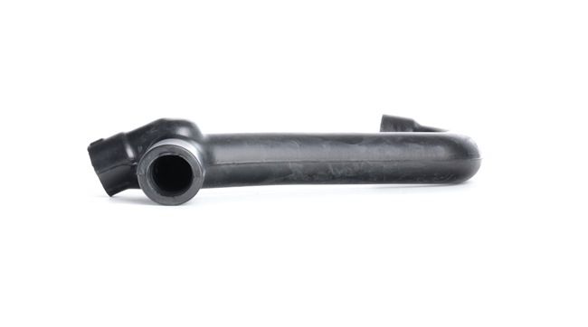FEBI BILSTEIN 33855: Slang, vevhusventilation febi Plus