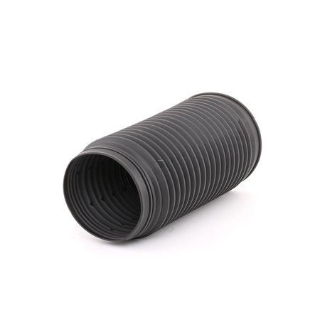 FEBI BILSTEIN 36006: Beschermkap / Ashoes, schokbreker Vooras