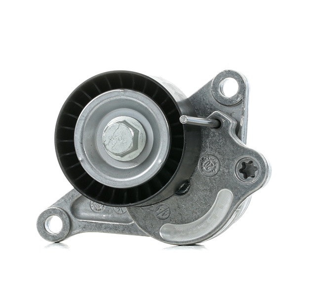 FEBI BILSTEIN 36831: Riemspanner, Poly V-riem