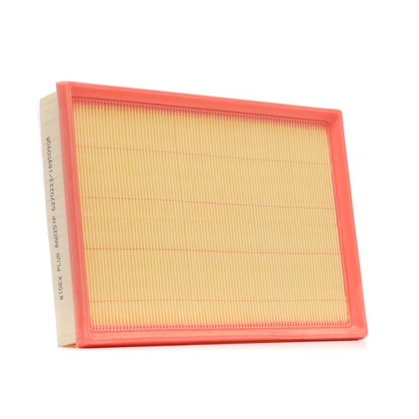 RIDEX PLUS 8A0257P Luftfilter mit Vorfilter