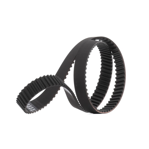 RIDEX PLUS 306T0053P: Ozubený remeň Poč. zubov: 146, 1168mm