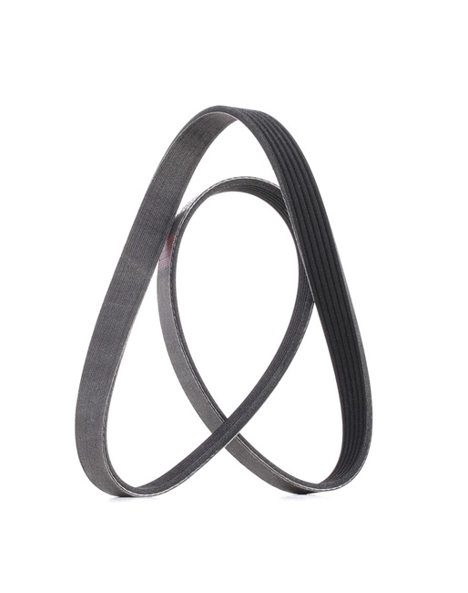 RIDEX PLUS 305P0056P Ιμάντας poly-V SEAT Toledo 4 (KG3) 105 PS Πετρέλαιο κόστος