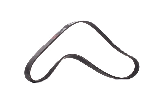 RIDEX PLUS 305P0054P: Correia trapezoidal estriada 1045mm, Número de nervuras: 6
