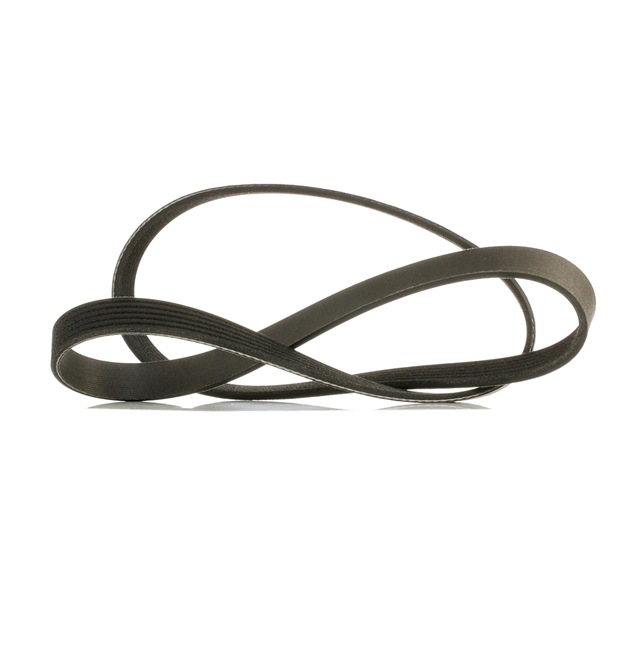 RIDEX PLUS 305P0396P: Multiriem 1205mm, Ribbenaantal: 6